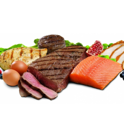 Dieta da Proteína. Vale a pena conhecer!