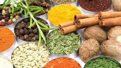 Goji berry, chia, chá de hibisco e outros alimentos que ajudam a emagrecer você sabe como comsumir?