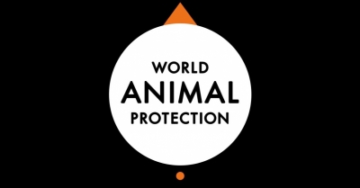 Animais têm Direitos?