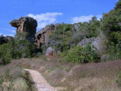 12 cidades do Brasil para você conhecer em cada mês