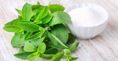 Stevia: conheça esse adoçante natural e os benefícios que ele oferece