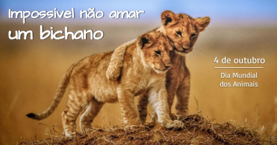 4 de outubro - Dia Mundial dos Animais