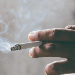 Curiosidades: Homens que fumam e acendem o cigarro para o chefe são promovidos mais rapidamente